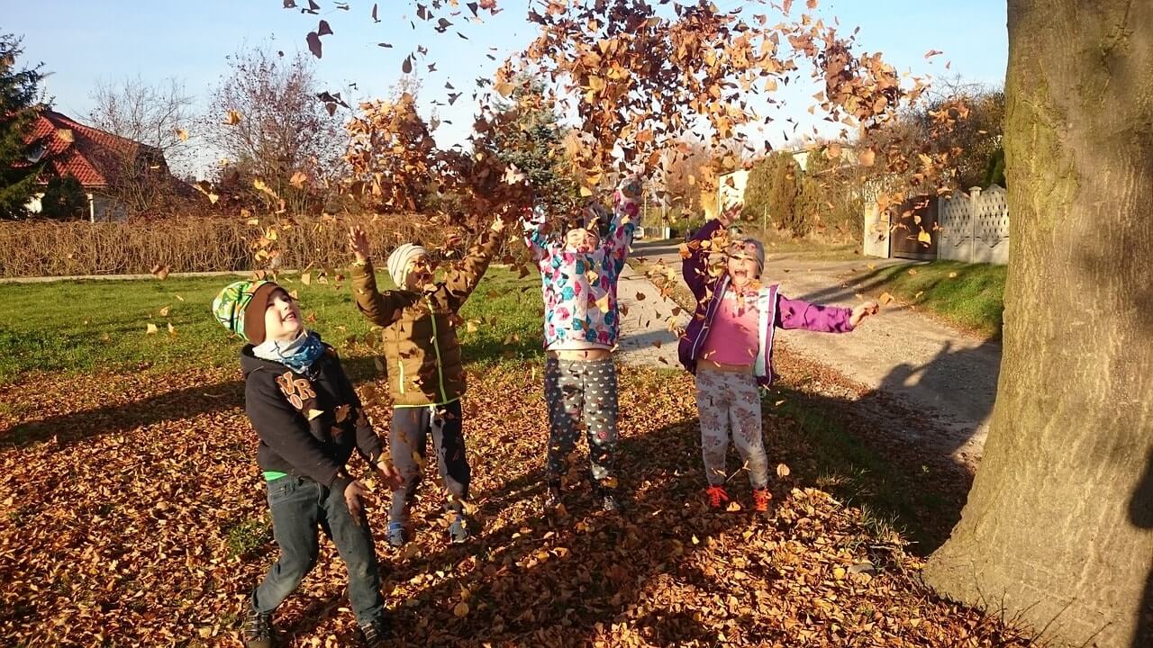 Дети играют опавшими листьями