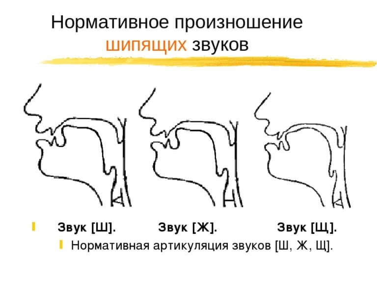 Артикуляция звука ч картинка