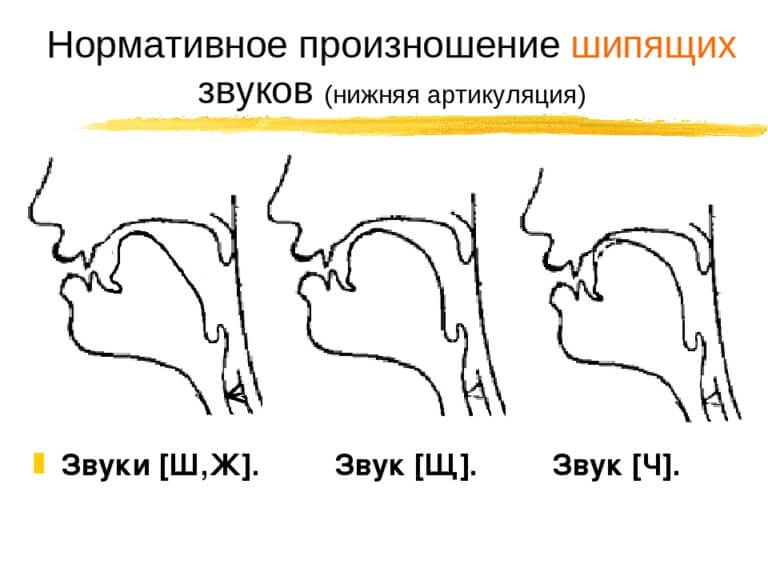 Артикуляционные профили звуков в картинках