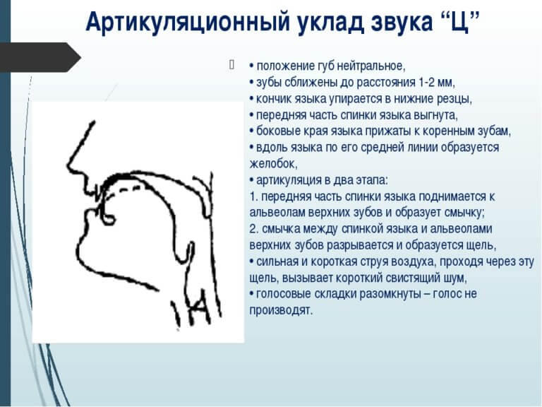 Артикуляционная гимнастика для постановки звука с в картинках с описанием