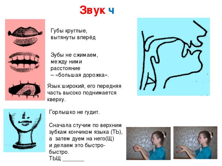 Постановка звуков для начинающих логопедов в какой последовательности с картинками