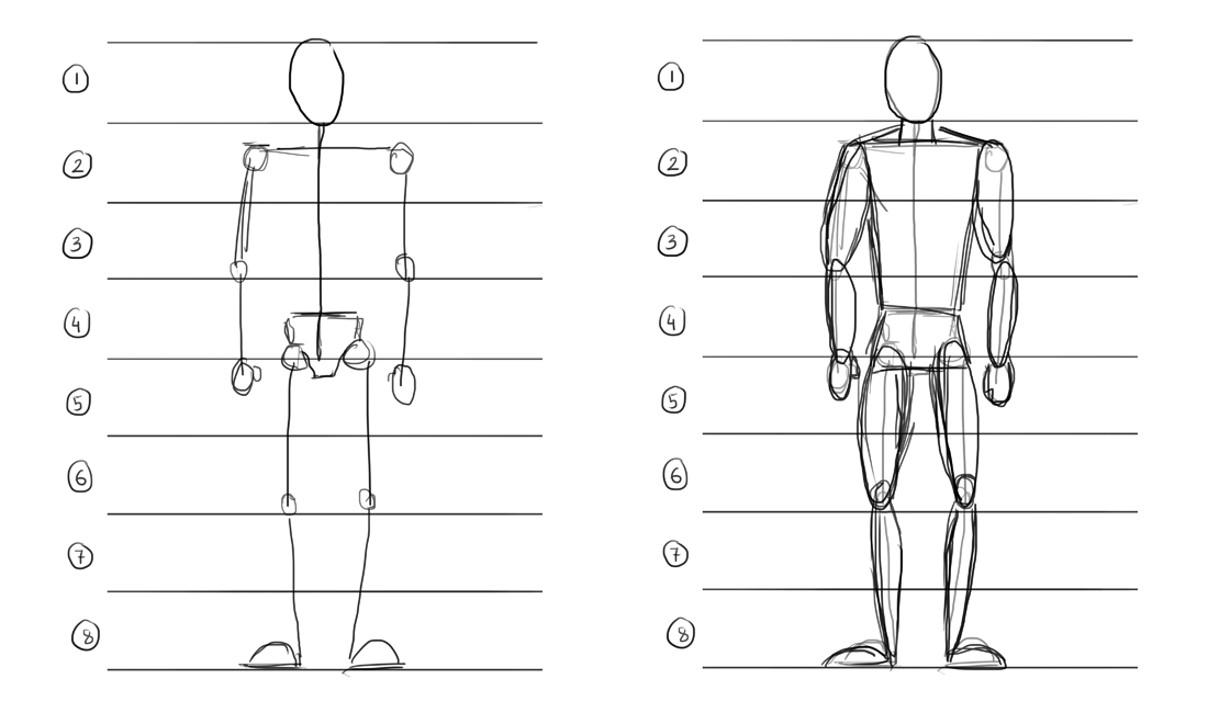 Как правильно нарисовать пропорции человека