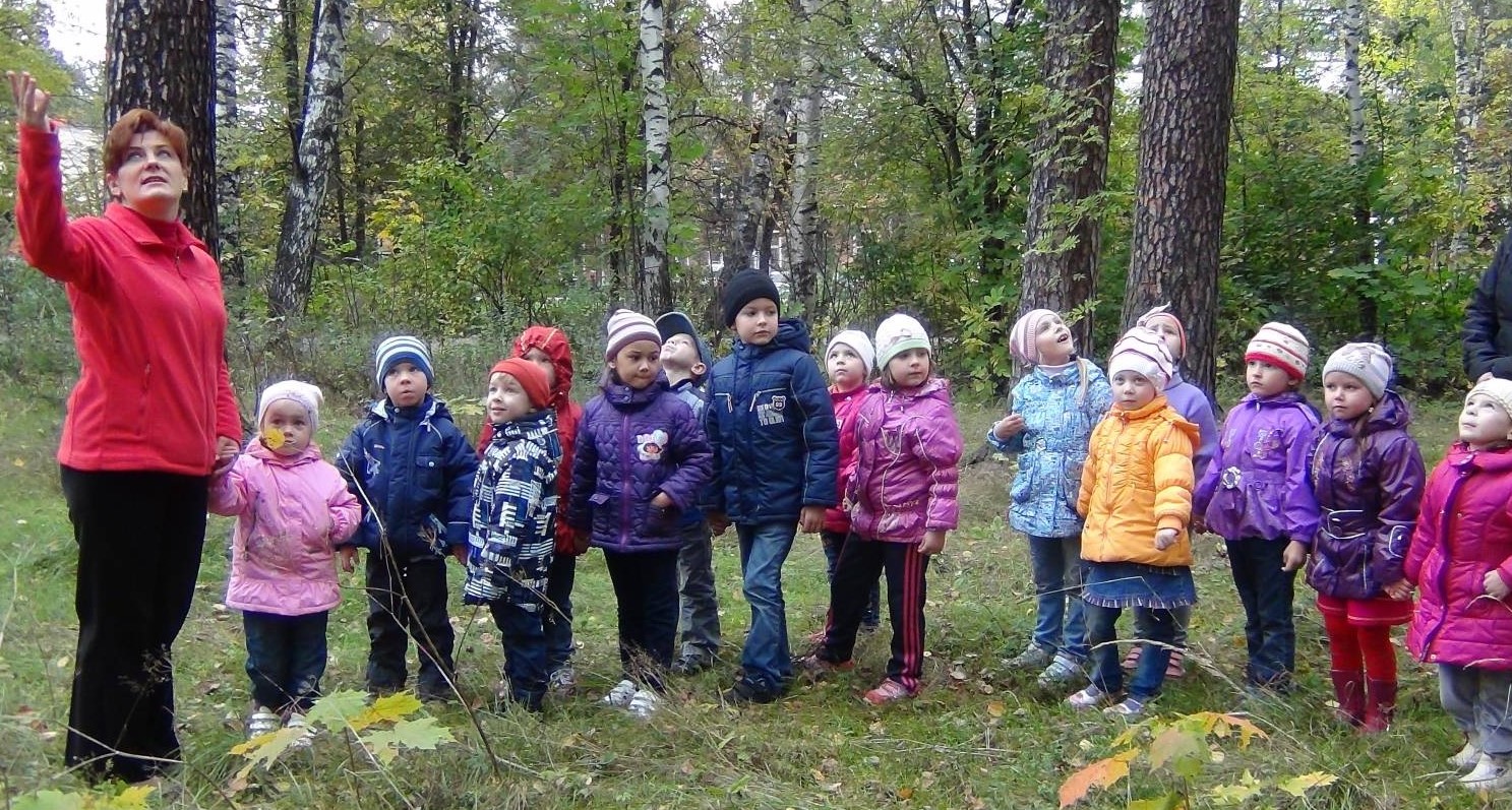 Прогулки детям экскурсии. Экскурсия в лес для дошкольников. Дети на экскурсии. Дети на экскурсии в лесу. Экскурсия детского сада в лес.